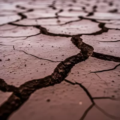 Imagen PNG para descargar